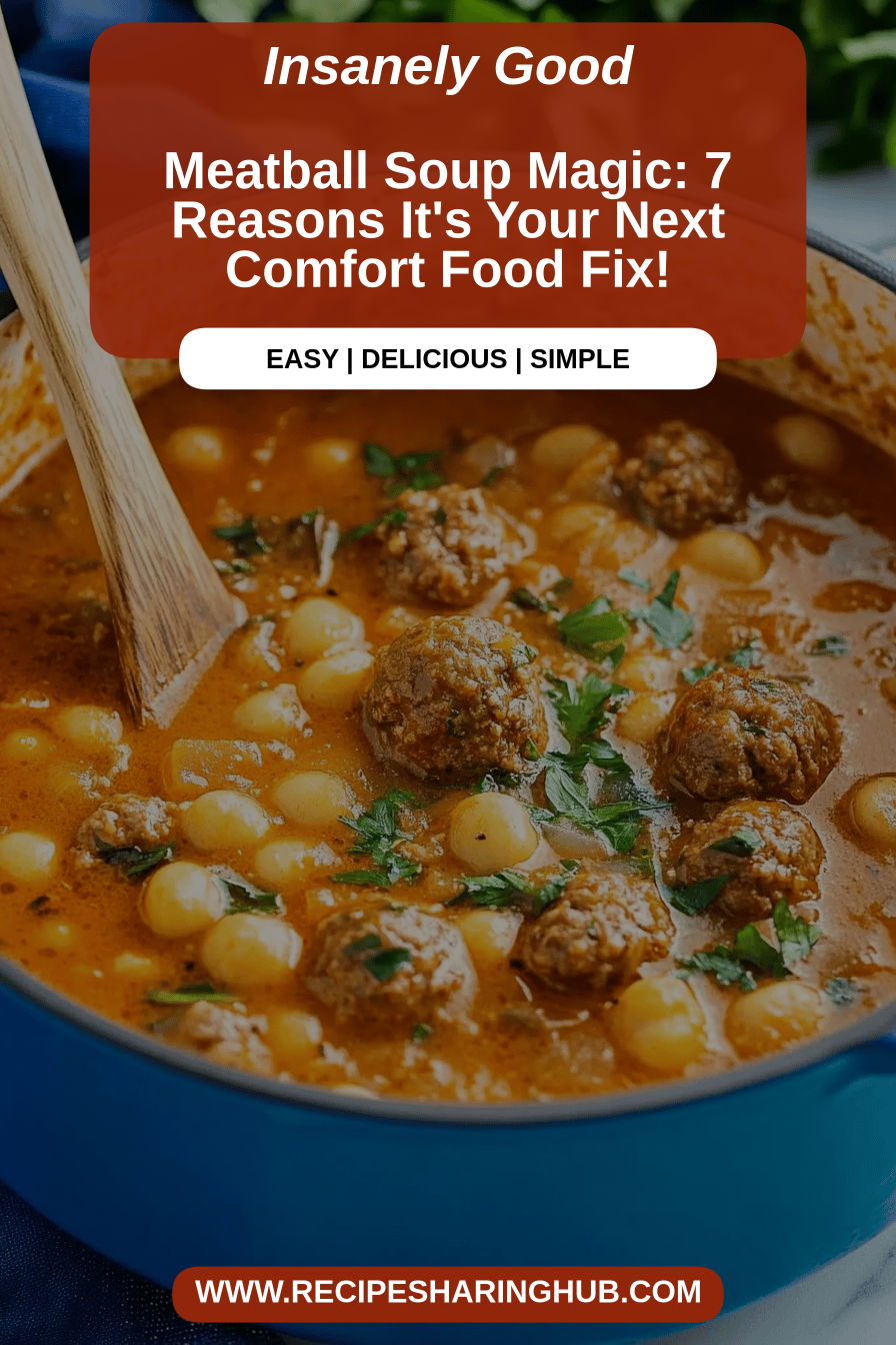 Meatball Soup Recipe final dish beautifully presented and ready to serve
