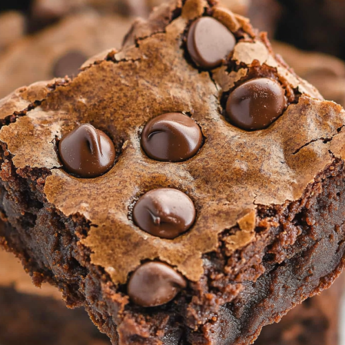 Chocolate Chip Brownies